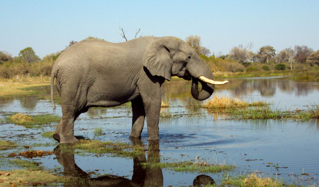 Unterwegs im Süden Afrikas